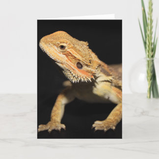 Tarjeta Dragón con las piernas curiosas 3
