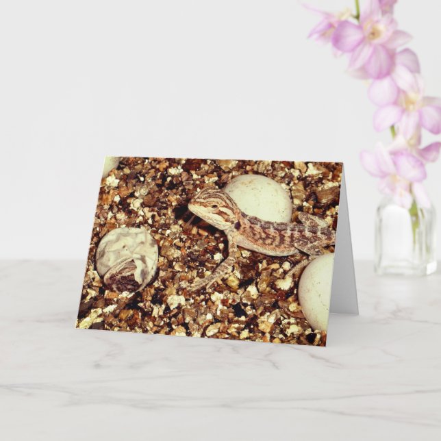 Tarjeta Dragón con los pies en el pecho (Orquídea)