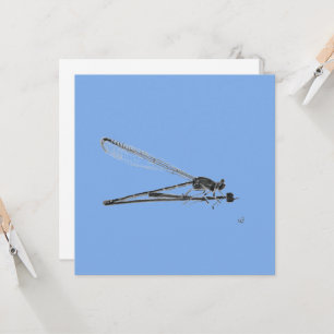 Tarjeta Dragon Fly