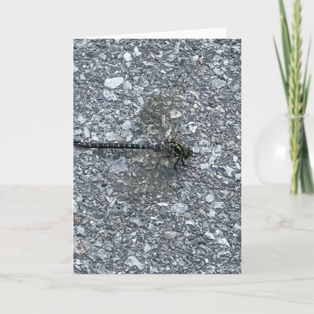 Tarjeta Dragonfly (Anverso)