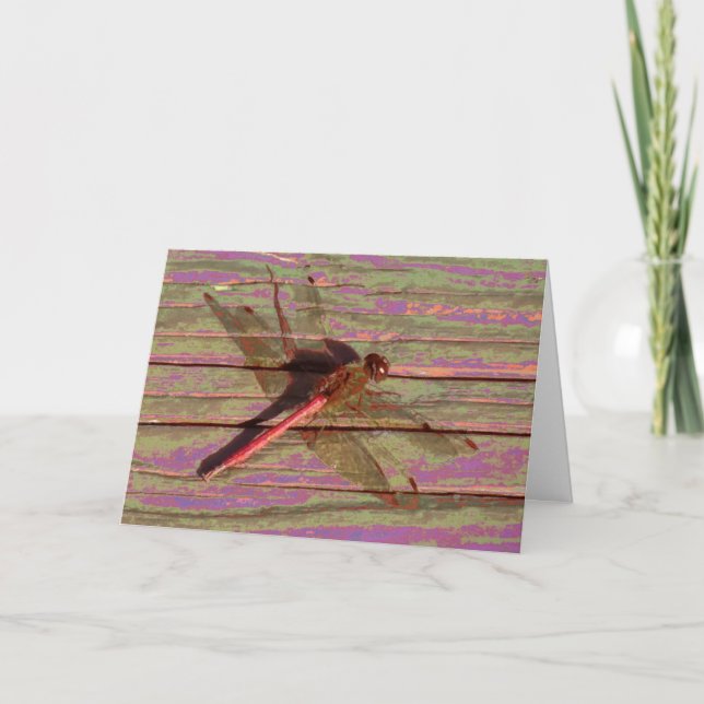 Tarjeta Dragonfly Colorful (Anverso)