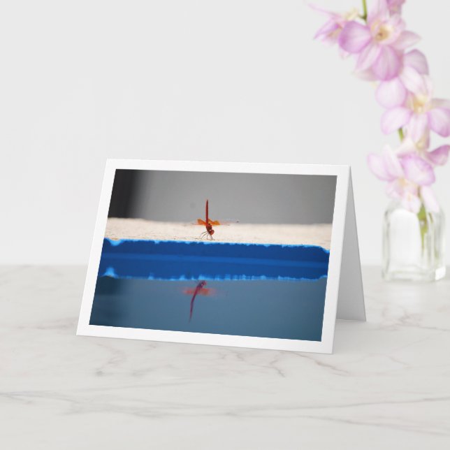 Tarjeta Dragonfly de ala naranja (Orquídea)