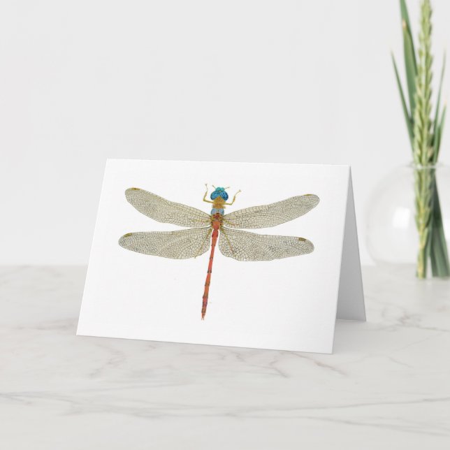 Tarjeta Dragonfly de Meadowhawk con la cara azul (Anverso)