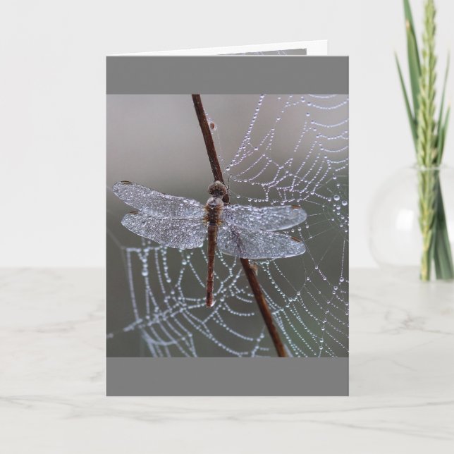 Tarjeta Dragonfly Dragonflies Significa (Anverso)