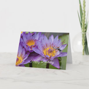 Tarjeta Dragonfly on Lily Birthday Card