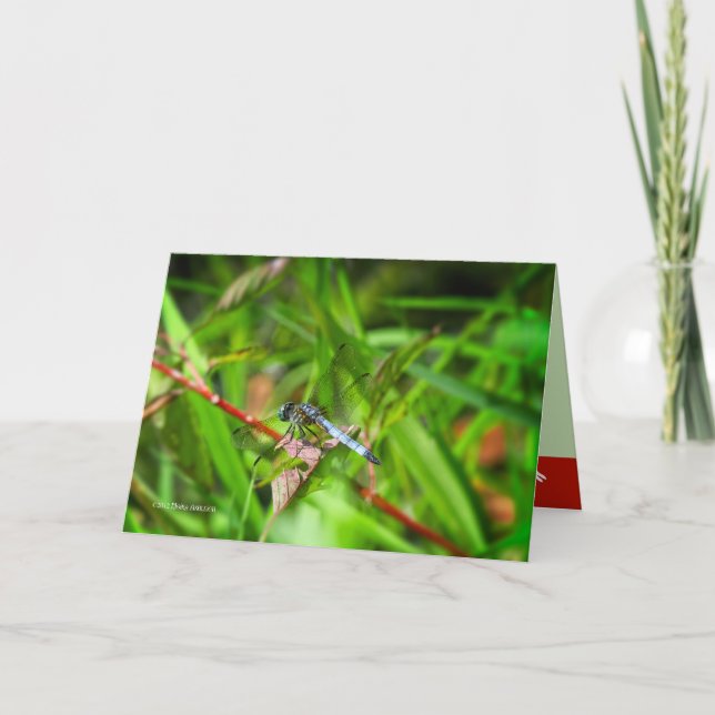 Tarjeta Dragonfly on red leaf (Anverso)