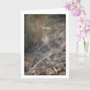 Tarjeta Dragonfly on Stalk Portrait