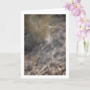 Tarjeta Dragonfly on Stalk Portrait