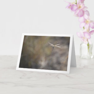 Tarjeta Dragonfly on Stalk Portrait