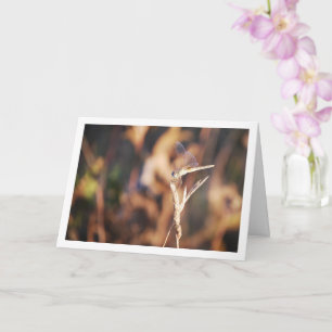Tarjeta Dragonfly on Stem Portrait