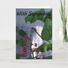 Tarjeta Dragonfly on Sympathy Card
