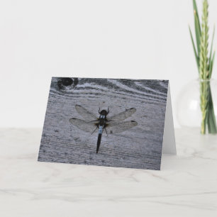 Tarjeta Dragonismo azul
