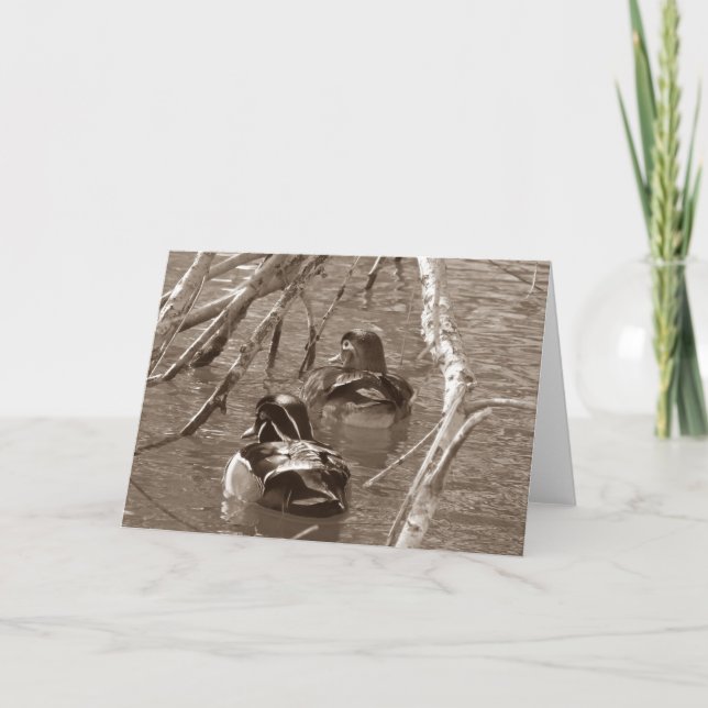 Tarjeta Drake de pato de madera y Hen en Sepia (Anverso)