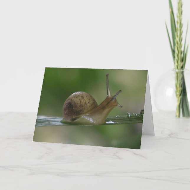 Tarjeta ¡Drat! Tarde De Nuevo. (Anverso)