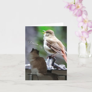 Tarjeta Dream Big Ragdoll Cat Bird Note Card