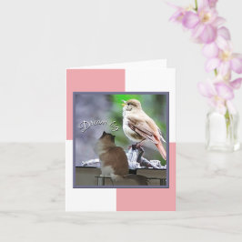 Tarjeta Dream Big Ragdoll Cat Bird Note Card