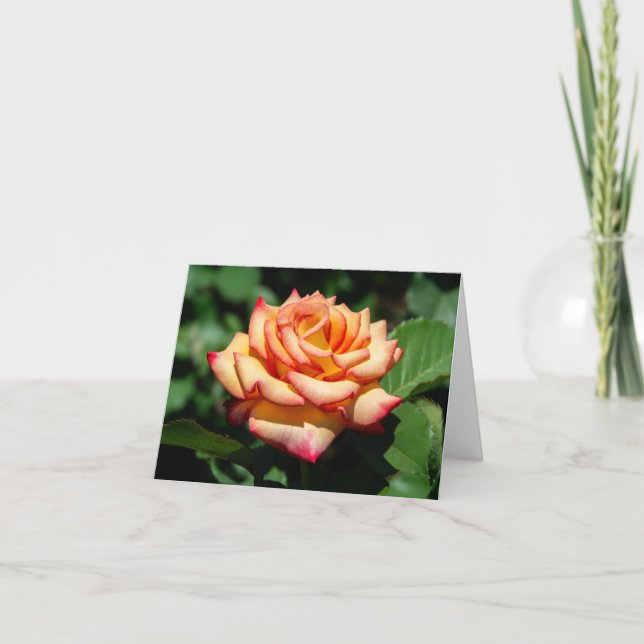 Tarjeta Dream Come True Rosa (Anverso)