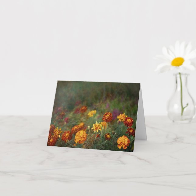Tarjeta Dreamy marigold fine art photo (Planta pequeña)