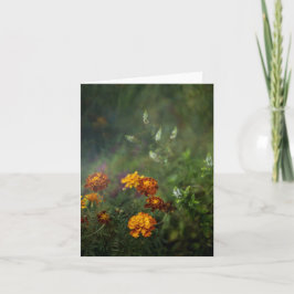 Tarjeta Dreamy marigold fine art photo