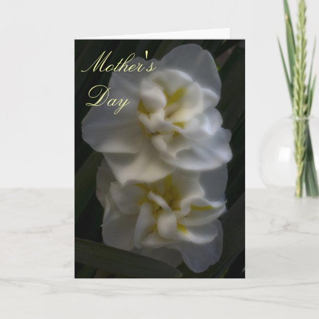 Tarjeta Dreamy Narcissus Daffodils Día de la Madre (Anverso)