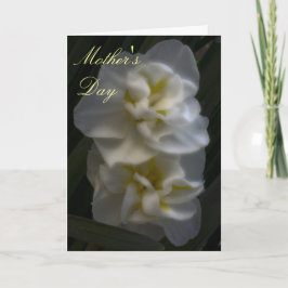 Tarjeta Dreamy Narcissus Daffodils Día de la Madre