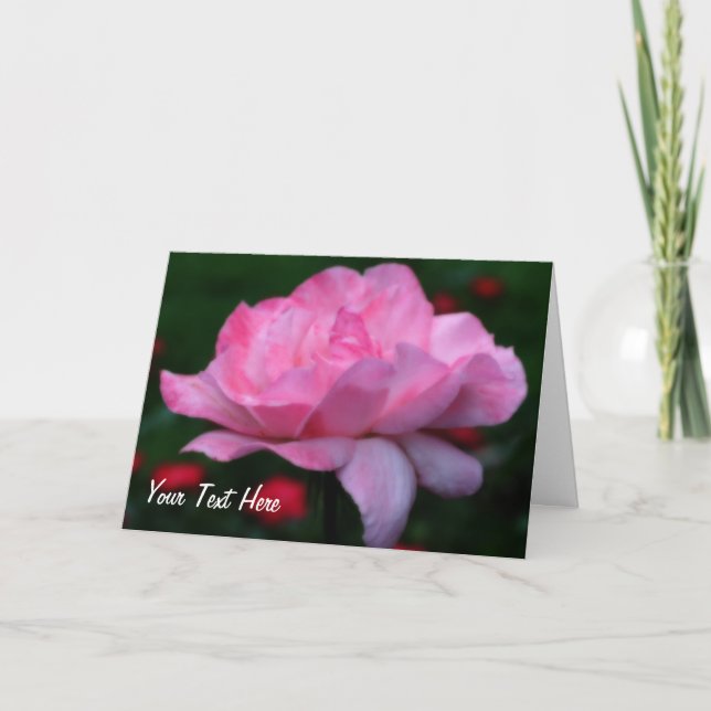 Tarjeta Dreamy Pink Rose Flower Photo Card (Anverso)
