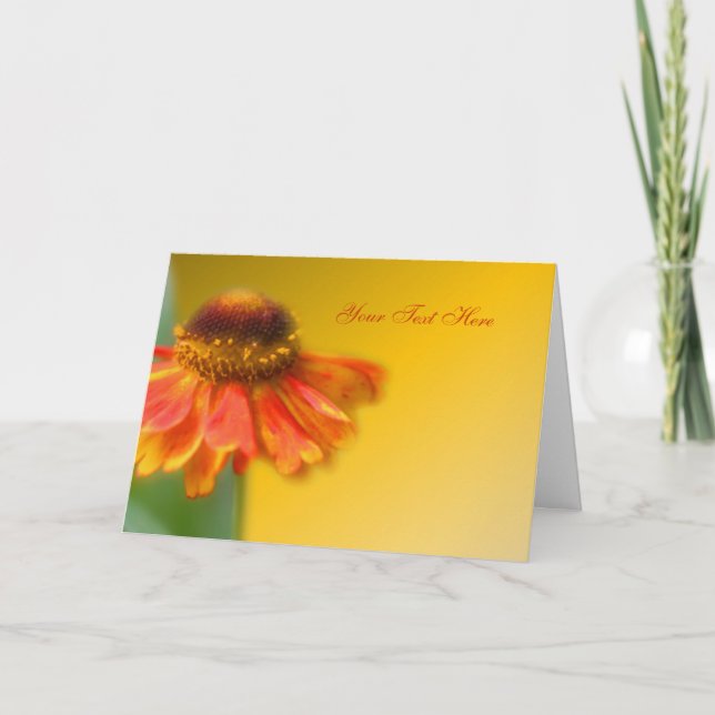 Tarjeta Dreamy Zinnia Flower Photo Card (Anverso)