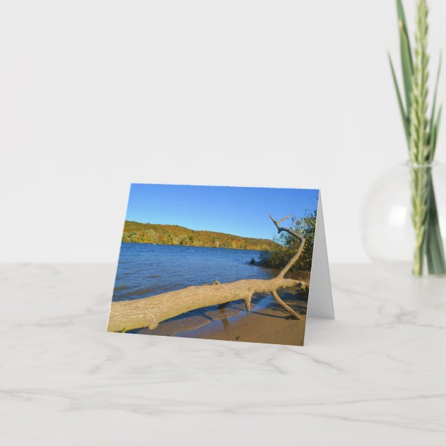 Tarjeta Driftwood Notecard (Anverso)