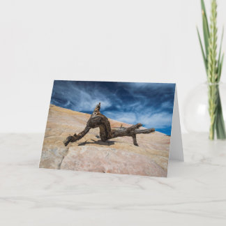 Tarjeta Driftwood y cielo azul