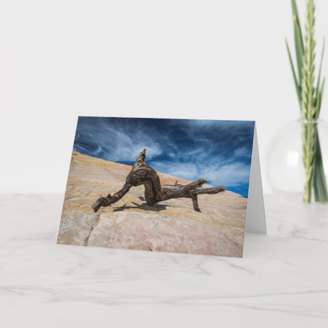 Tarjeta Driftwood y cielo azul (Anverso)