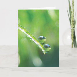 Tarjeta Drogas de excremento sobre reflexiones de la Tierr