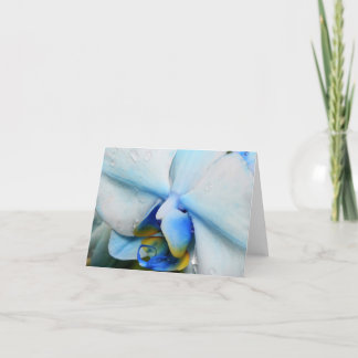 Tarjeta Drogas en la Orquídea Azul