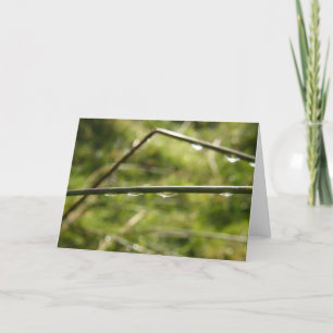 Tarjeta Droplets