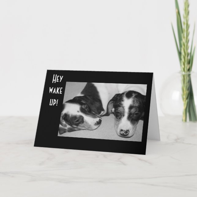 TARJETA DROWSY DACHSHUNDS CUARENTA CUMPLEAÑOS (Anverso)