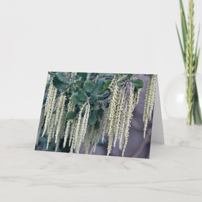 TARJETA DSC_0119 (Anverso)