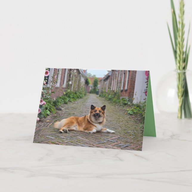 Tarjeta Dubbele wenskaart (Anverso)