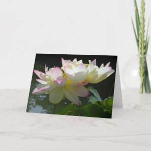 Tarjeta Ducado de flores Lotus