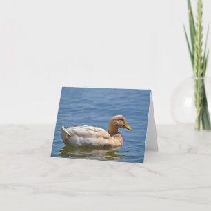 Tarjeta Duck Notecard