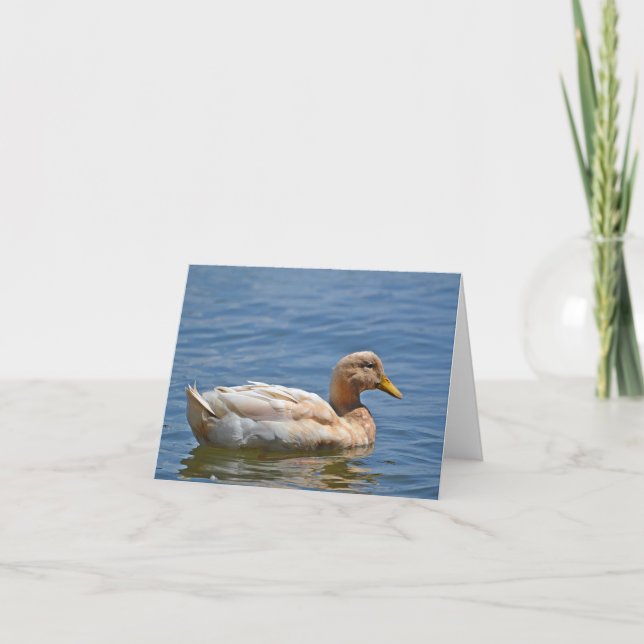 Tarjeta Duck Notecard (Anverso)