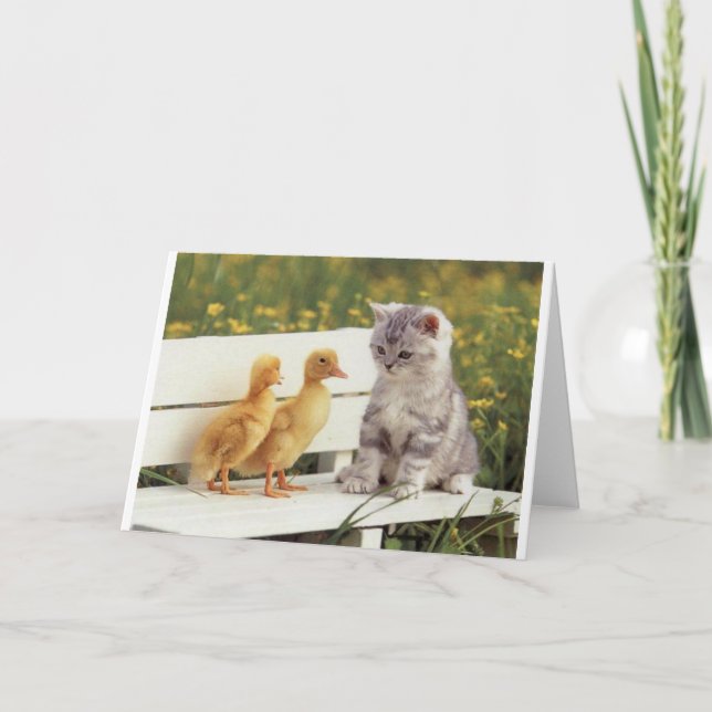 Tarjeta Duckheap y gatito de la entrevista de amigos. (Anverso)