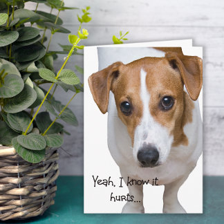 Tarjeta Duele El Aliento Triste Al Perro