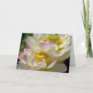 Tarjeta Duet de flores de Lotus