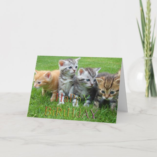 Tarjeta Dulce cachorros kitties foto (Anverso)