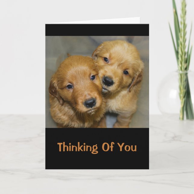 Tarjeta Dulce Golden Retriever Cuppies Pensando En Ti (Anverso)