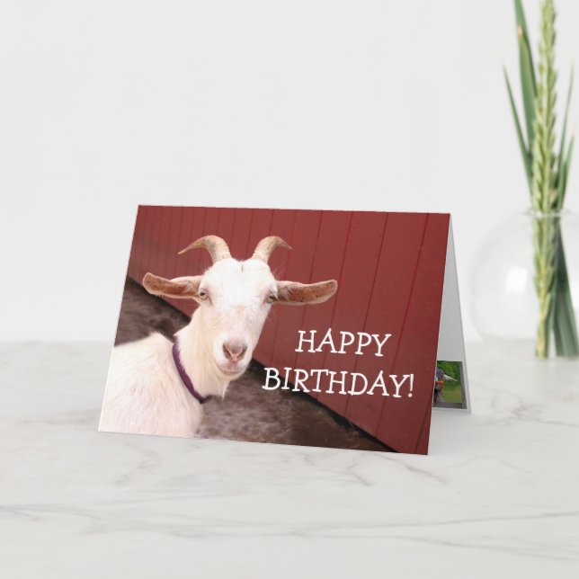 Tarjeta Dulce Nanny Goat Cumpleaños (Anverso)