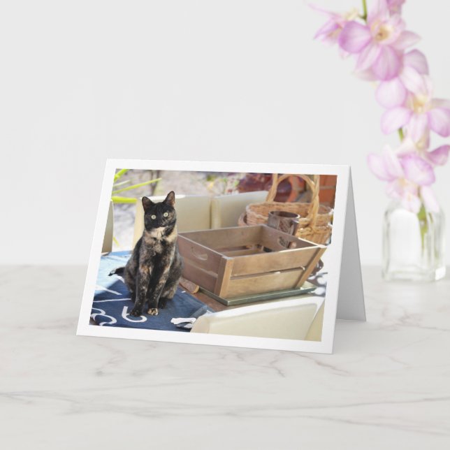 Tarjeta Dulce Tortoisesinfierno Gatito (Orquídea)