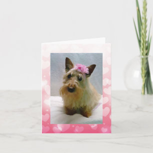 Tarjeta Dulce Triguito