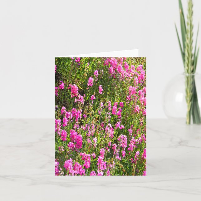 Tarjeta Dulces en la colina... (Anverso)