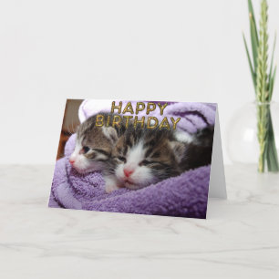 Tarjeta Dulces gatitos con sueño