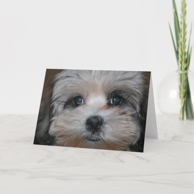 Tarjeta Dulzor personificado (Anverso)